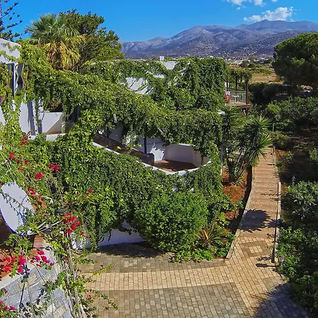 Kalypso 4* Malia