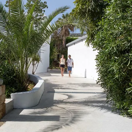 Kalypso Hotel 4*