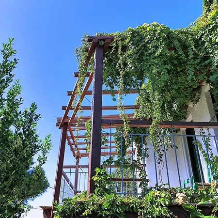Kalypso Hotel 4*